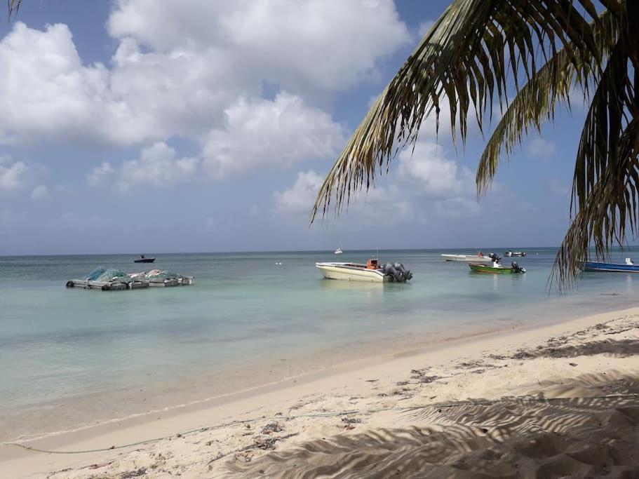 Au Bout Du Reve - Le Gosier Villa Le Gosier  Bagian luar foto