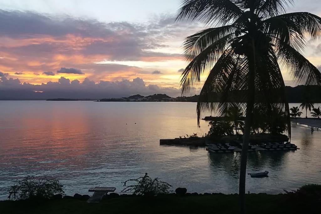 Au Bout Du Reve - Le Gosier Villa Le Gosier  Bagian luar foto