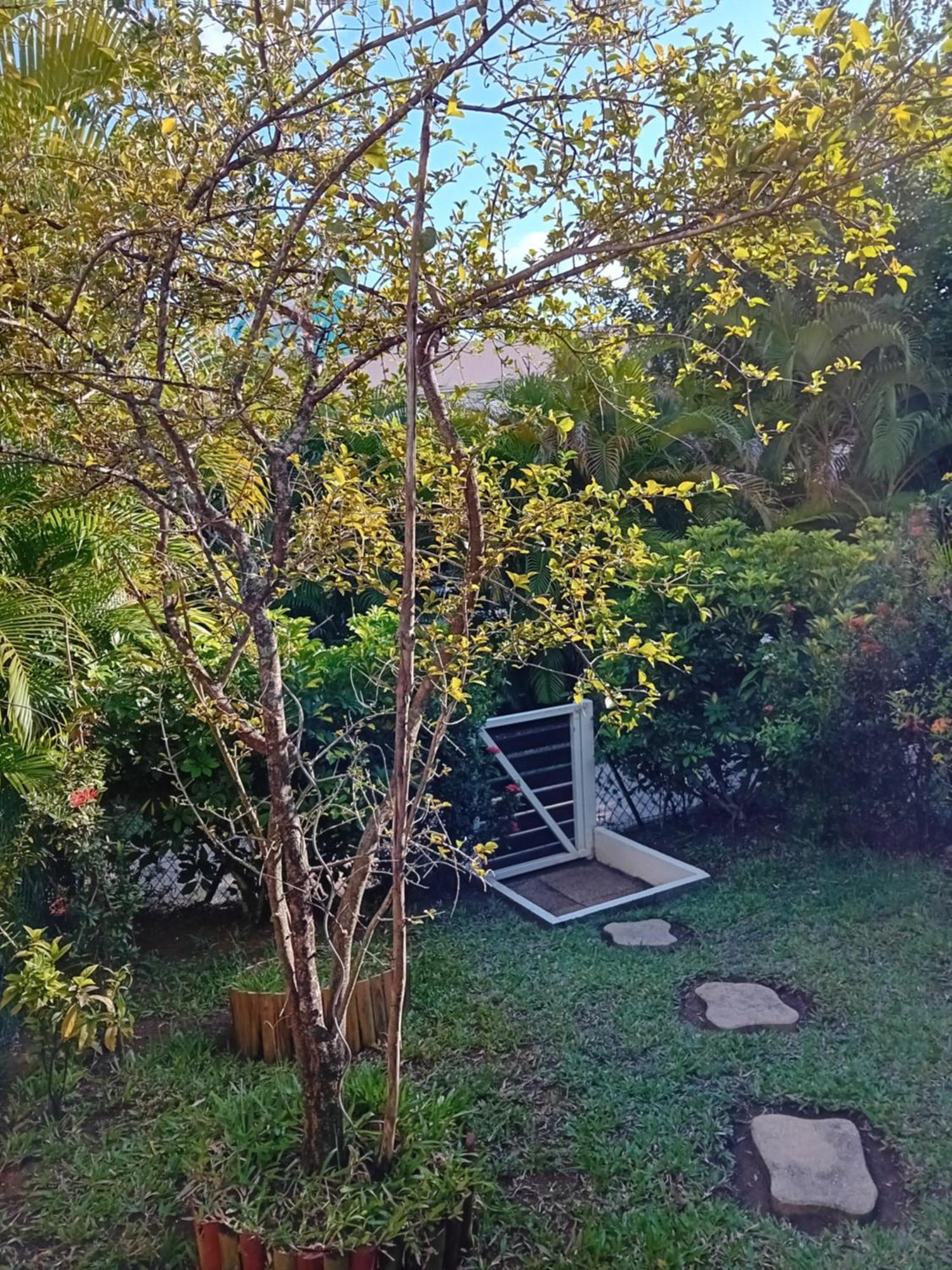 Au Bout Du Reve - Le Gosier Villa Le Gosier  Bagian luar foto